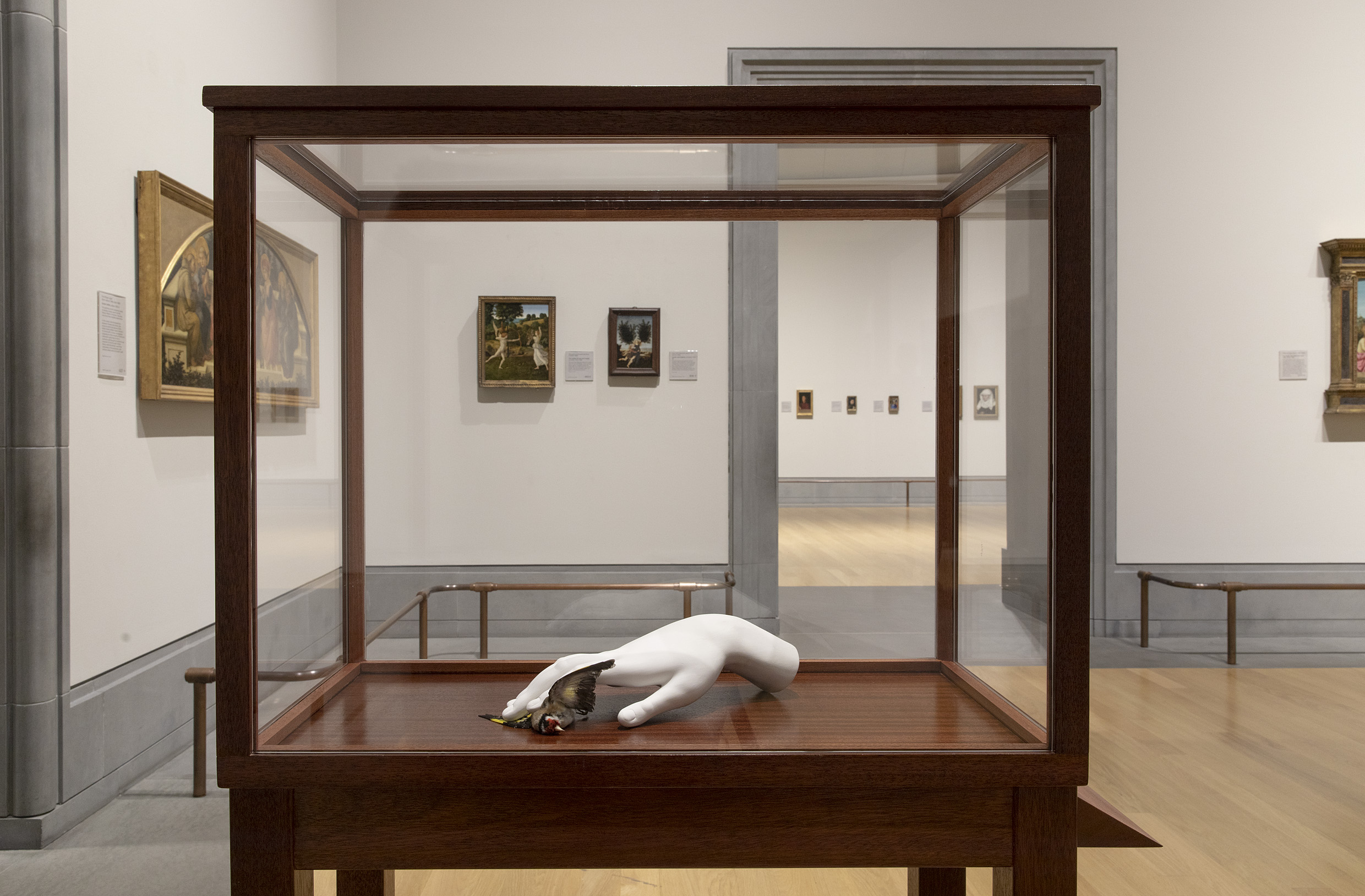 Ali Cherri's "The Madonna of the Cat, after Barocci" in a glass case on display in the National Gallery. The work is a white plaster hand pinning down a taxidermied goldfinch.