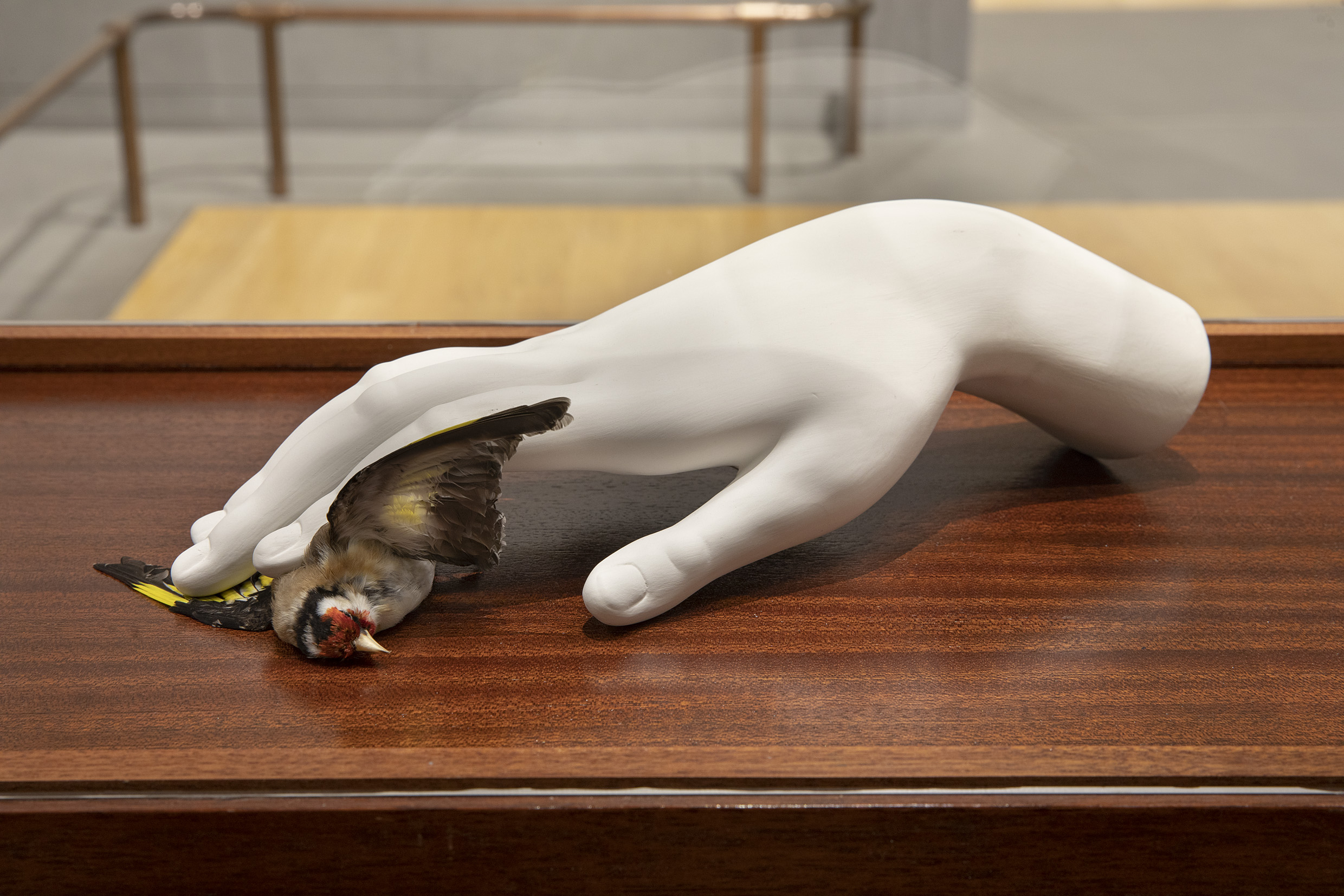 A close up of Ali Cherri's "The Madonna of the Cat, after Barocci" (2022). The work is a white plaster hand pinning down a taxidermied goldfinch.