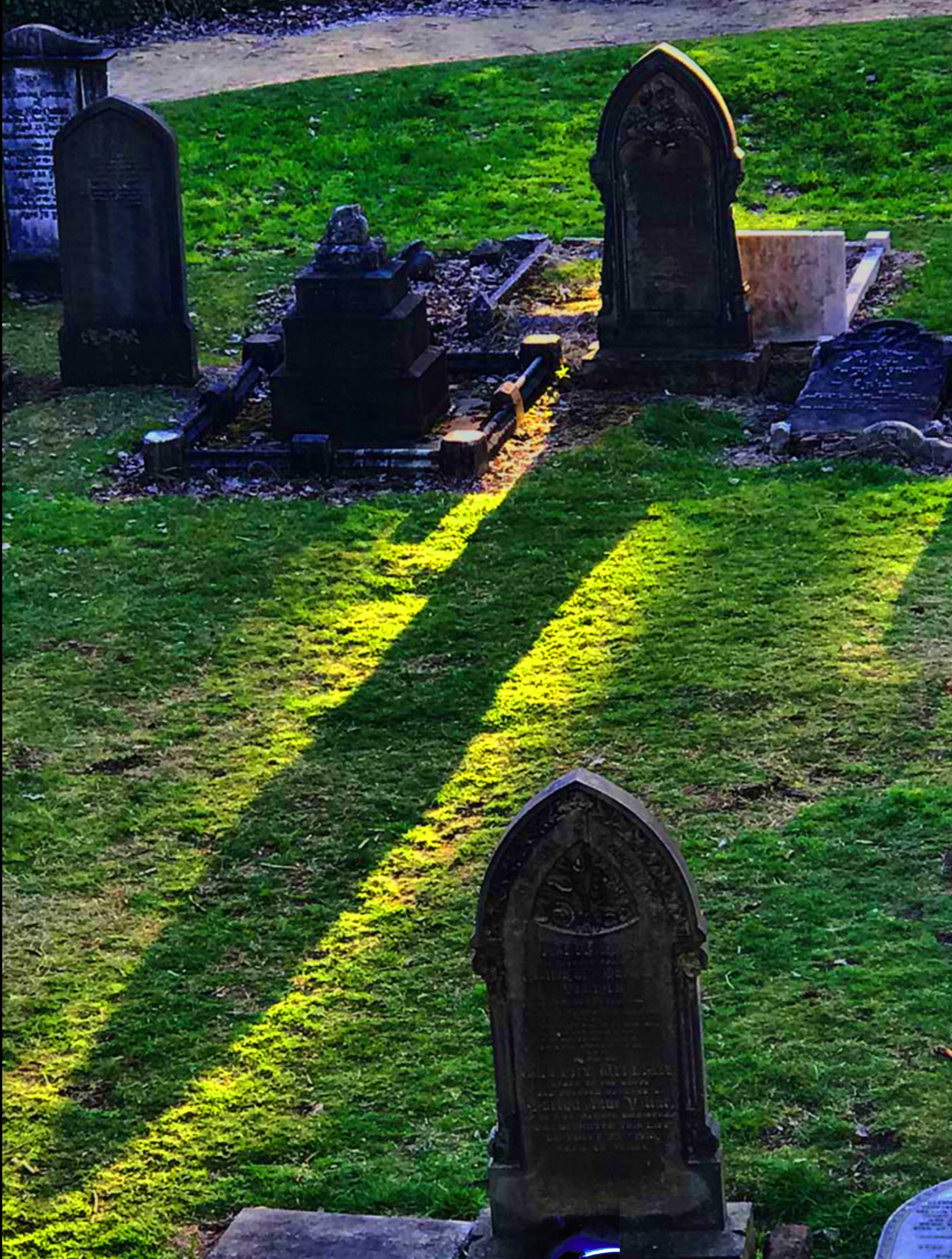 A photograph of headstones in a graveyard