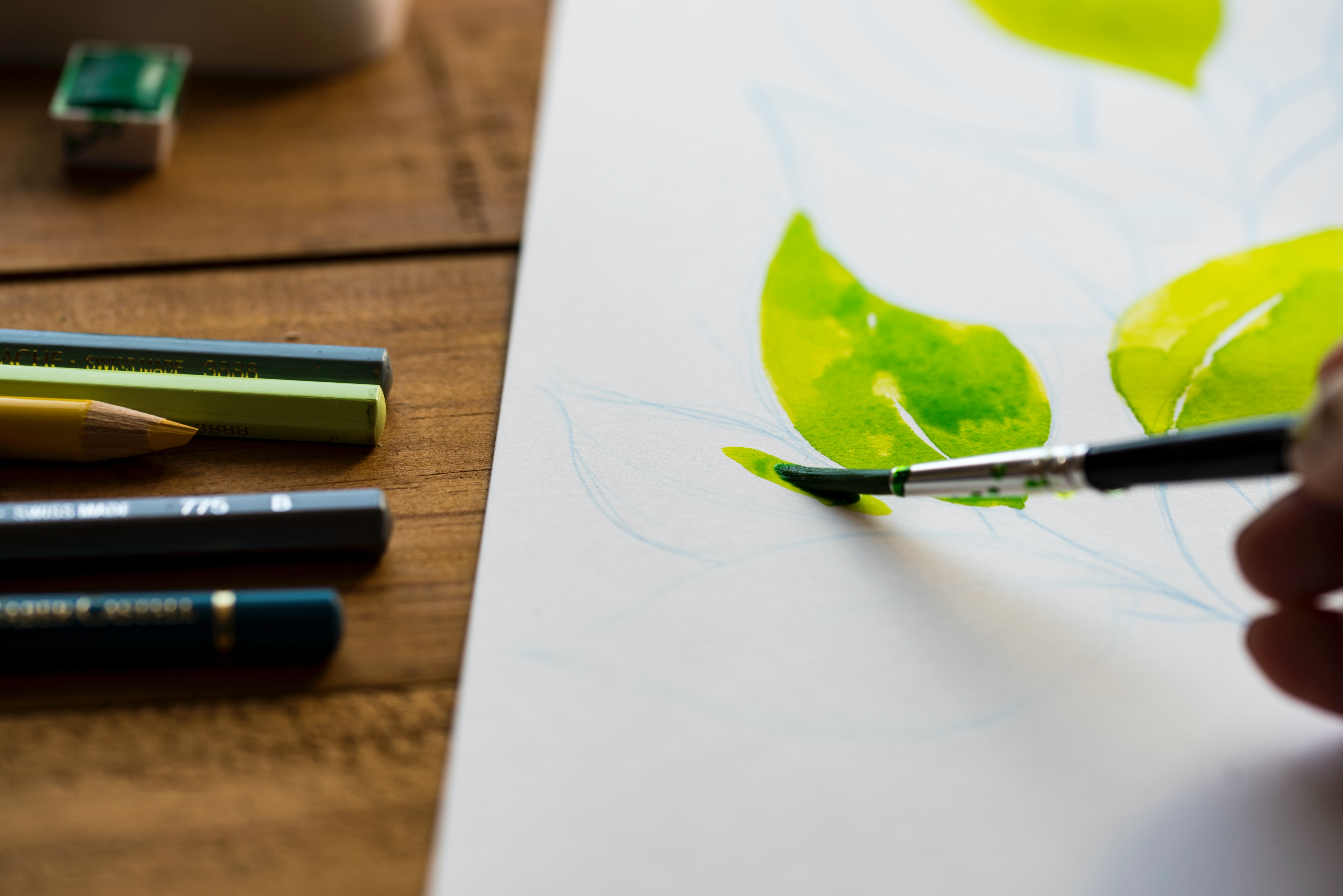 A hand painting leaves on a piece of paper with green watercolour paint. A set of coloured pencils are on the table nearby.