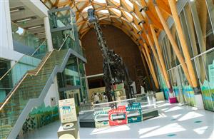 Dippy in Coventry: The Nation's Favourite Dinosaur