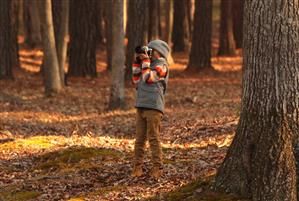 Wild Photographers Crafts
