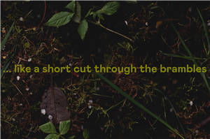 Coventry Biennial 2023: ...like a short cut through the brambles