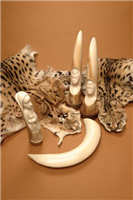Leopard skins and ivory