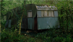 Meadow Arts Present: Artist Talk and Exhibition Celebration