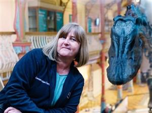 Caring for the Nation's Favourite Dinosaur: The life and times of Dippy the Diplodocus