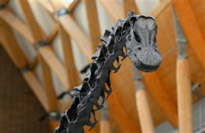 Dippy in Coventry: The Nation's Favourite Dinosaur